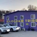 킬로그램트라이브 이미지