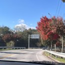 태평초 | [맛집 리뷰] 영주 묵집추천 '순흥선비묵집' (Feat. 태평초맛집)