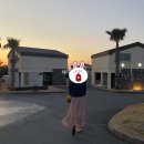 씨유 성산미래점 | [호텔추천/풀빌라소랑] 제주에서 진짜 맘에 드는 숙소 찾음 💙