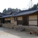 화기리인동장씨종택 Daum카페