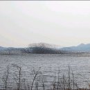 가장 아름다운 노래 (가창) Daum카페