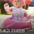 비오는 실내 정원