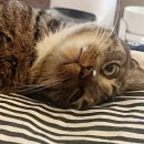 (주)벡스퍼트 이미지