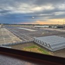 THE 카 Repair shop | 여행] 카타르 도하 스탑오버 | 도하 박물관 | 도하 전통시장 | 도하 디저트 맛집The Mandarin Cake Shop