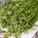 달곡농장 이미지