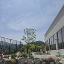 송악면 강당로 | 아산 송악면 외암마을 근처 뷰좋은 신상 브런치 카페 벨라 방문 리얼 후기