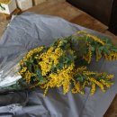 미모사세탁소 이미지