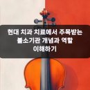 행신이로운치과의원 | 현대 치과 치료에서 주목받는 불소기관 개념과 역할 이해하기