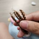 주식회사 한일 | 신생아 선물 추천 코막힘 해결 한일 포근 콧물흡입기 사용법, 실사용 후기(PNA-60M)