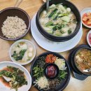 민화 속 반려동물 | 수지 주막보리밥 털레기수제비+옹심이, 푸짐한 내돈내산 솔직 후기