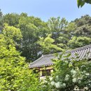 문수목장 | 추천 장소ㅣ문수사, 개심사 꽃없을때 가면 어떨까?ㅣ서산한우목장 웰빙산책로 후기ㅣ반려견 동반 나들이