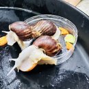 은송어린이집 이미지