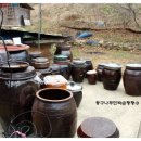 둥구나무민박 이미지