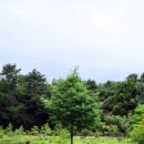 사진촬영(중급) | 오래된 DSLR 니콘 D810으로 담소요 카페 스냅 촬영 후기