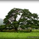 반송초등 이미지