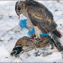 진안사람이야기 이미지