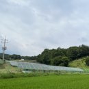 남도태양광발전소 이미지