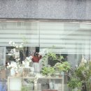 플라워팟 이미지