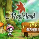 메이플 이미지