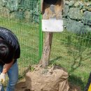 파트라슈반려견학교 이미지