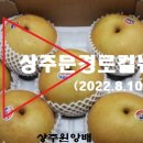 상주문경로컬뉴스(2022.8.10.수) 이미지