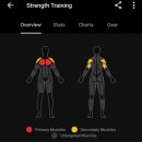 비브레 프리미엄점 이미지