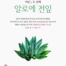 여린