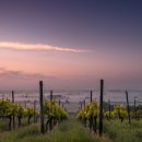 (주)빅코 이미지