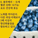 선인장꽃 건강자료 이미지