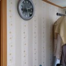 행운동-20 이미지