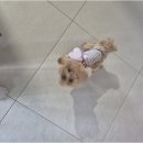 더블루네스 이미지