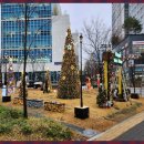 크리스마스 트리 디자인과 연출 노하우, 트리미다스가 전하는 연말 공간 비법