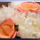 융한의원 이미지