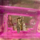 아이뜰유치원 이미지