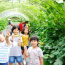 열린농장 이미지