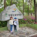 예원유치원 | [춘천여행] 춘천 가볼만한곳-강원도립화목원