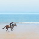 훼밀리승마클럽 이미지