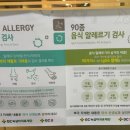 오창드림이비인후과의원 | 서울드림이비인후과 지연성 알러지 검사 IGG4 내돈내산 실비 신청 과정 후기