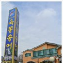 옥동송어집