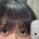 이오티디(EOTD)