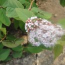 설악동 B 주차장 이미지