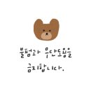 남산초교길 네이버블로그