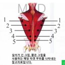 서플라이어헬스