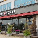 할리스커피모현점 이미지