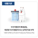 (주)코스모스이펙트 이미지