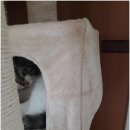 숨숨집 이미지