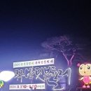 또리와 아로 이미지