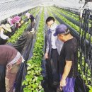 쌍림농장 이미지