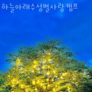 캠핑장 추천 하늘아래수성별사랑캠프 가격 예약 찐 후기