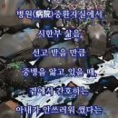 13)07. 莊子장자 外篇외편 第13篇 天道천도(第07章)/그린란드,메시,황금종려상,유튜버,한인사회,TSMC,해킹,스쿠터,반도체,경고, 이미지